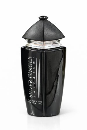 silver ginger pour homme perfume Silver Ginger pour homme eau de toilette bottle front