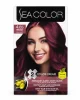 Sea Color 4.65 Wine Red боя за коса 2 x 50 ml Sea Color 4.65 Wine Red боя за коса 2 x 50 ml на чист бял фон
