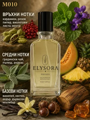 ELYSORA M010 – мъжки парфюм 50 ml с ароматни нотки ELYSORA M010 мъжки парфюм 50 ml с ароматни нотки
